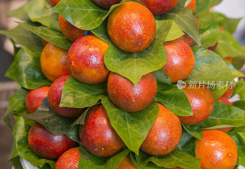 西班牙巴塞罗那boqueria市场的热带红浆果