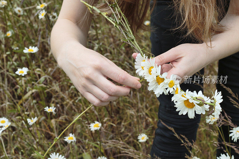 拉脱维亚花童用手制作雏菊花冠