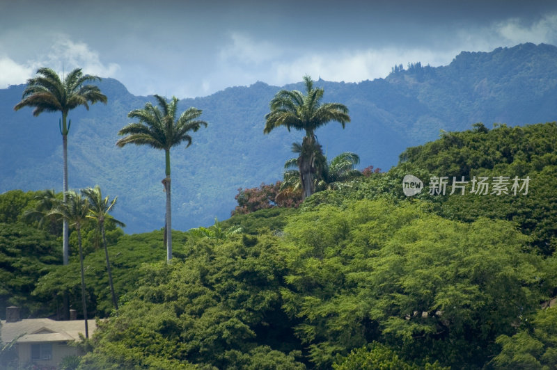 热带的恶劣天气