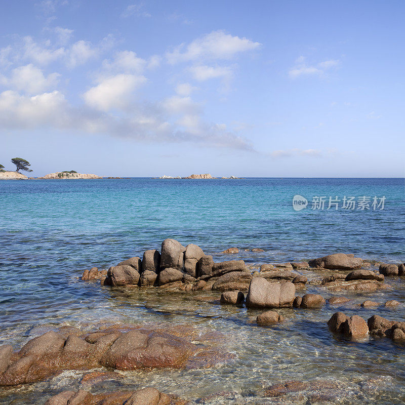 海中。地中海沿岸。