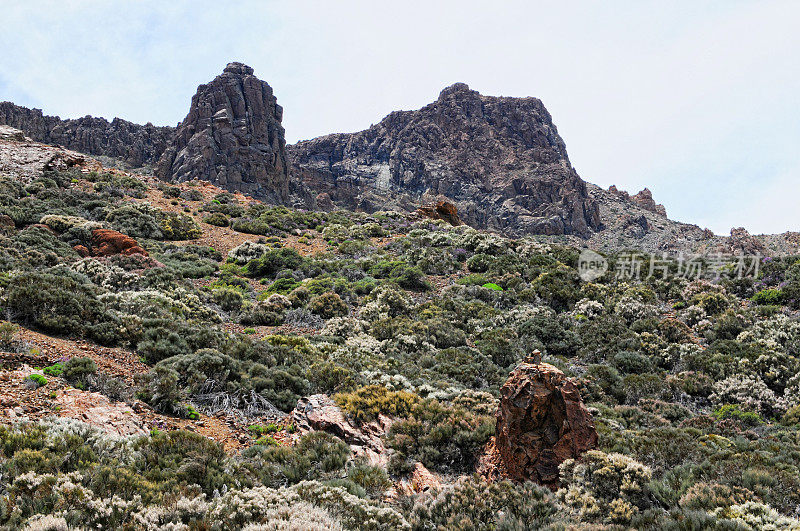 德尔泰德国家公园的火山岩(西班牙特内里费)