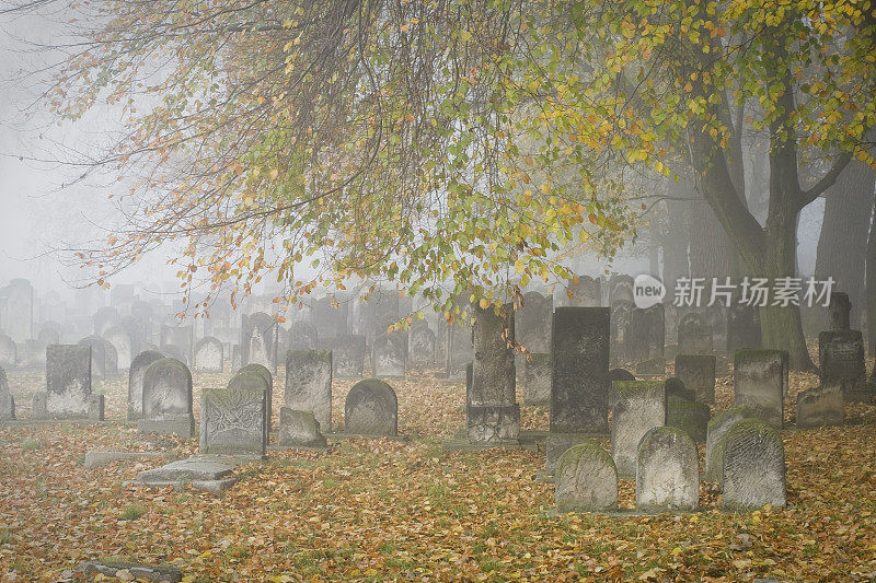 秋天的墓地