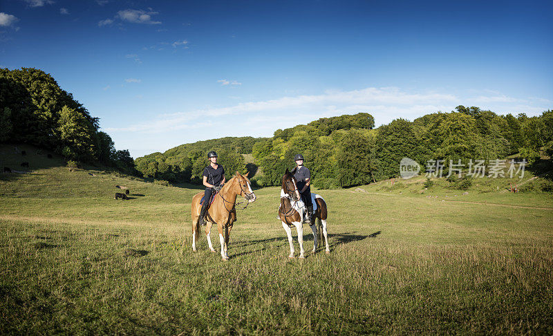 在丹麦Møn，两匹马和骑手的田园美景。