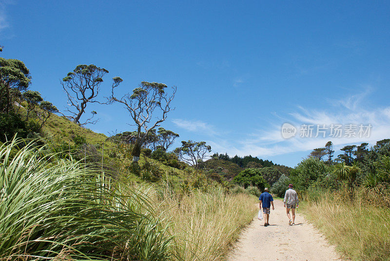 夏日，人们在新西兰的小路上散步