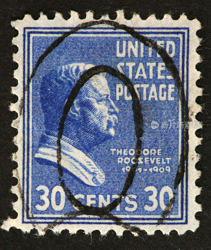 西奥多·罗斯福邮票