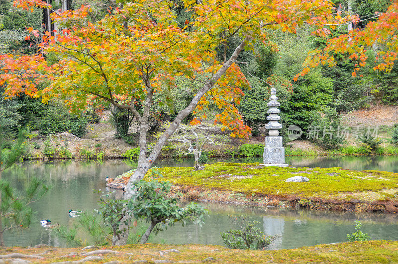 日本花园-秋天的颜色