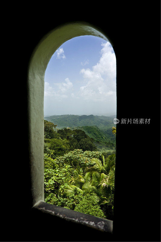 热带雨林之窗。