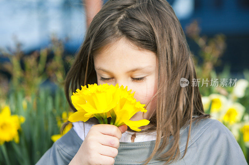 年轻女孩闻着水仙花