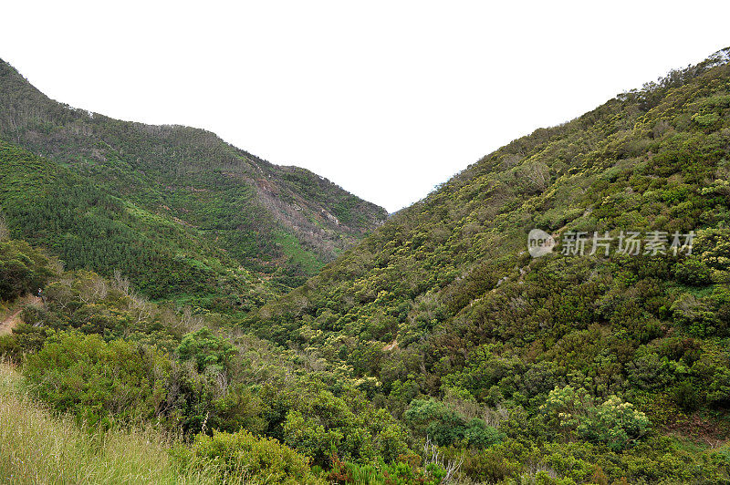 马契科和博卡里斯科之间的山谷――马德拉