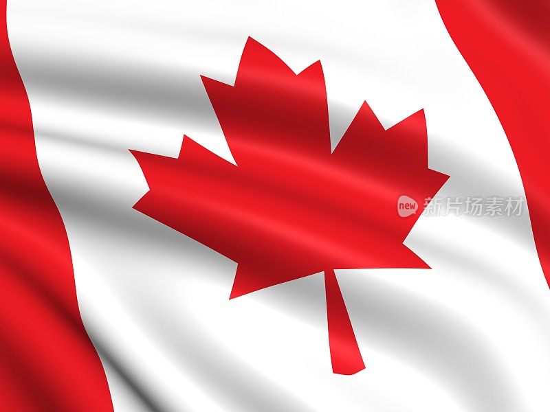 加拿大国旗红色枫叶的特写