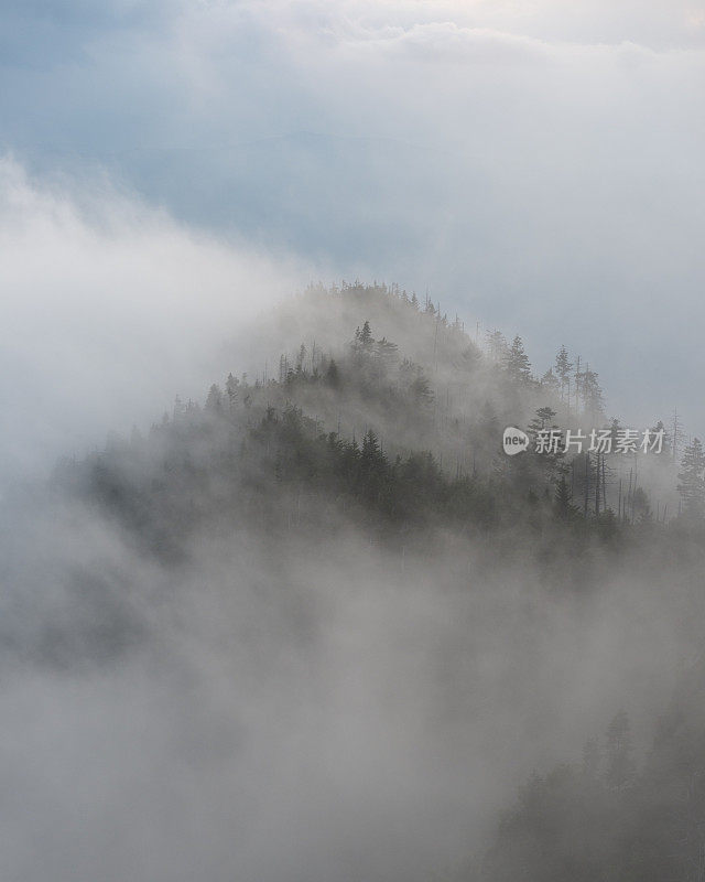 大烟山国家公园的迷雾山