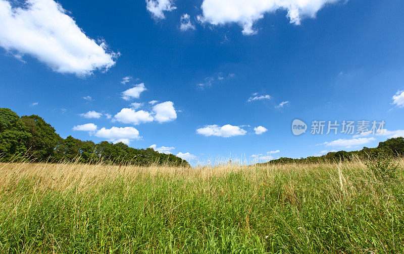 田野在比利时的乡村边