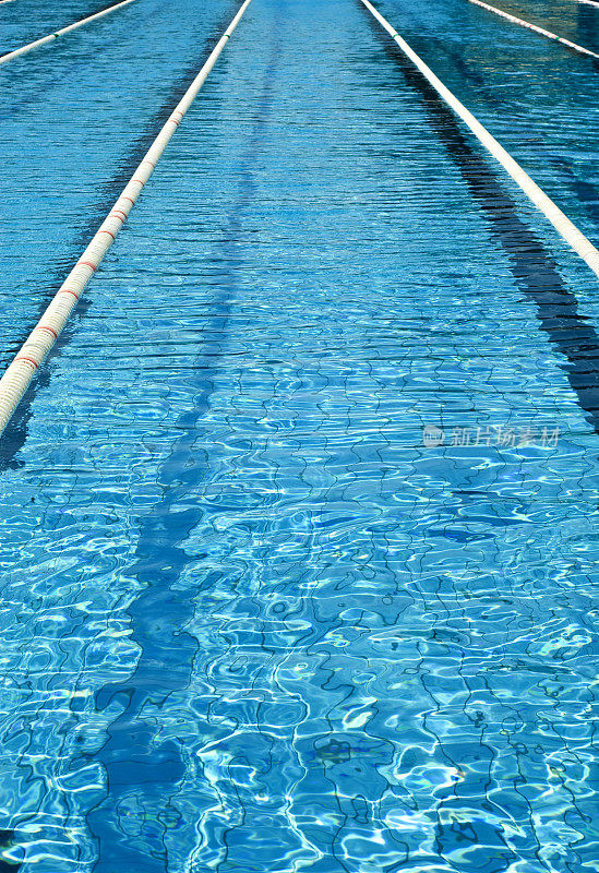 奥林匹克游泳池泳道