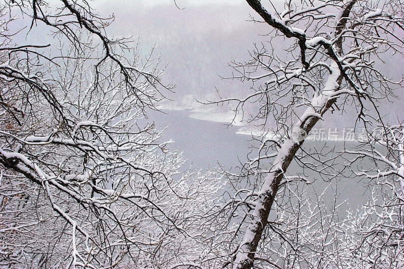 穿过白雪覆盖的树枝