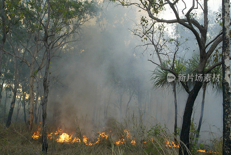 2009年澳大利亚中部丛林大火