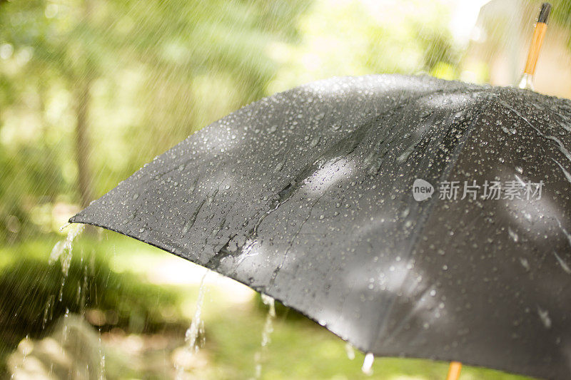 雨天。雨点落在户外的黑色雨伞上。春天,夏天。