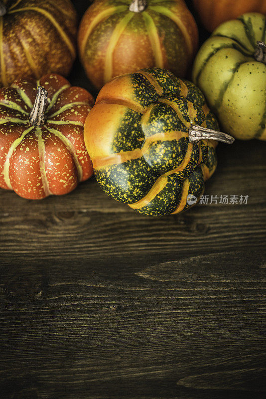 秋天和感恩节的装饰。南瓜放在深色的木桌上