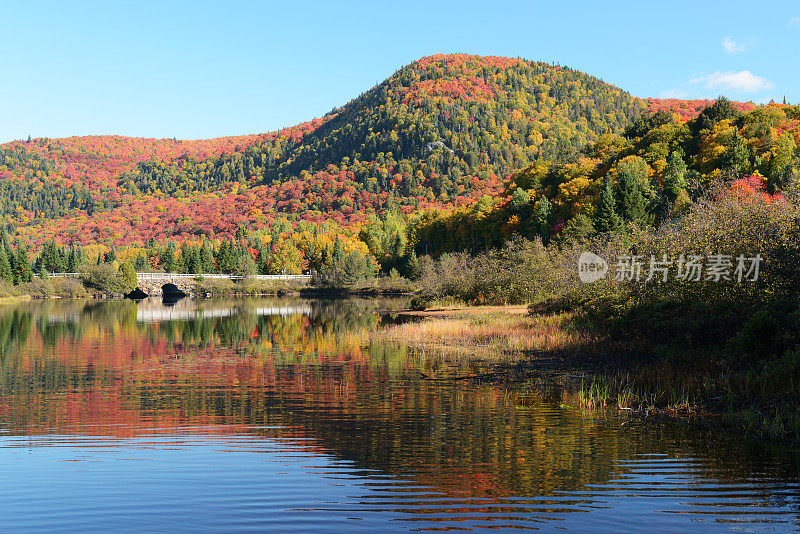 特朗山国家公园的秋景