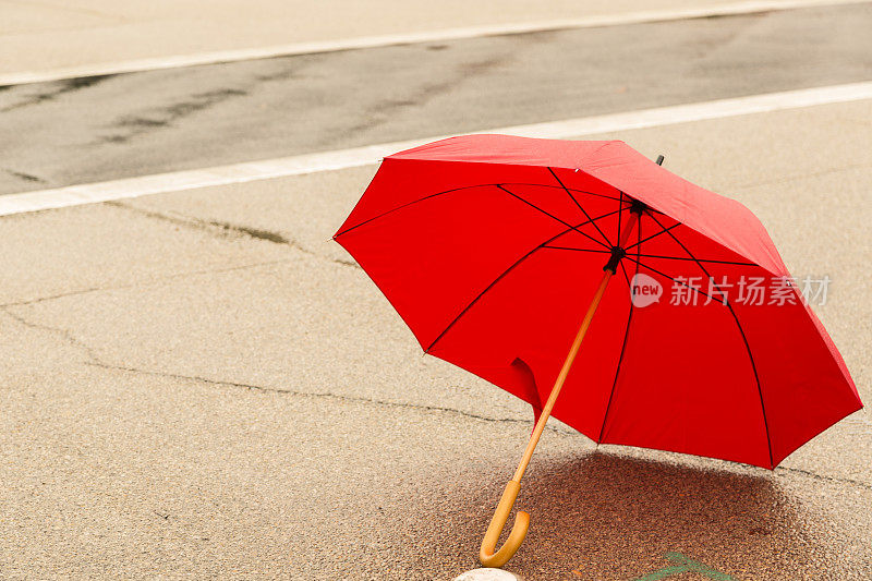 时尚:在雨中撑一把红伞。城市街道的野花。