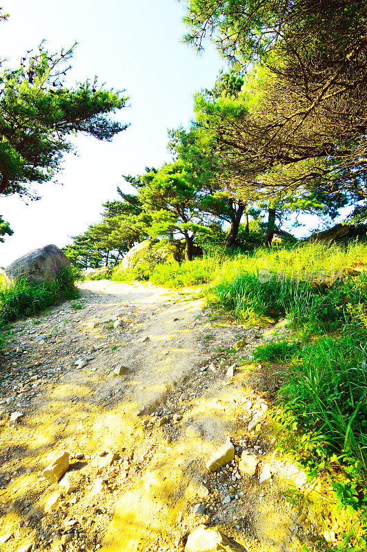 金钟山森林要塞，釜山，韩国