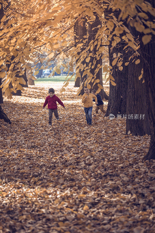 孩子们在公园里跑过落叶