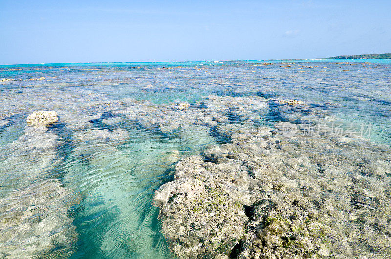 热带岛屿上的珊瑚礁