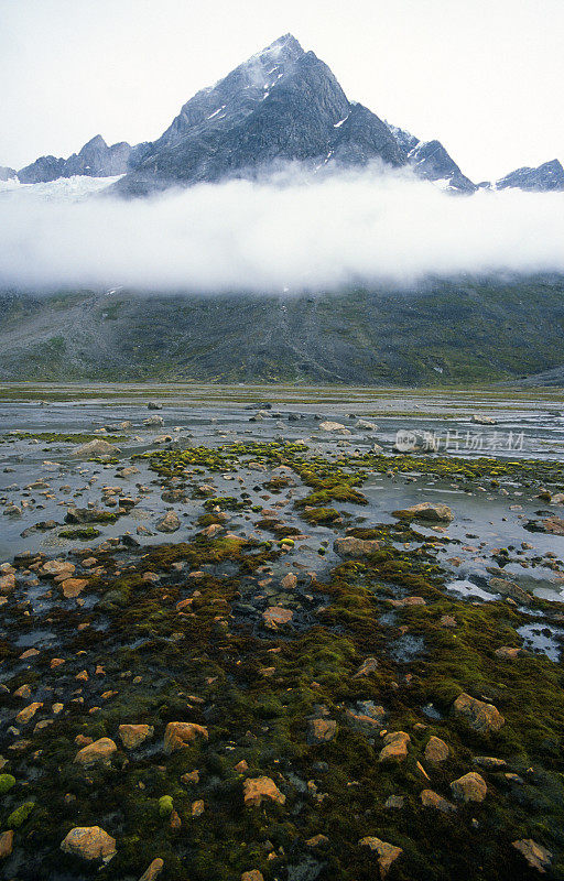 格陵兰岛的苔藓和石头