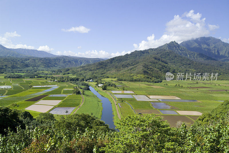 夏威夷考艾岛的哈纳雷山谷俯瞰