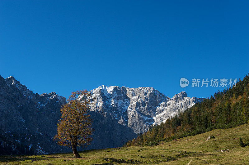 奥地利阿尔卑斯山