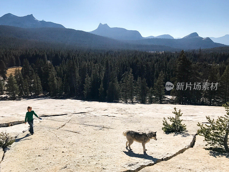 孩子们带着他的狗在优胜美地国家公园徒步旅行和爬山