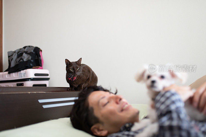男人在床上抱着小狗，猫坐在床角上
