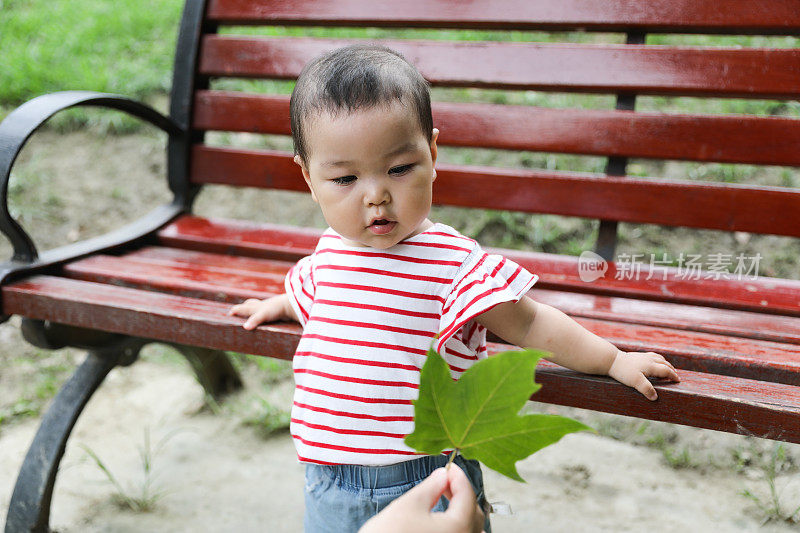 当她的父母试图给她一片叶子时，一个中国小女孩把双手放在了长凳上