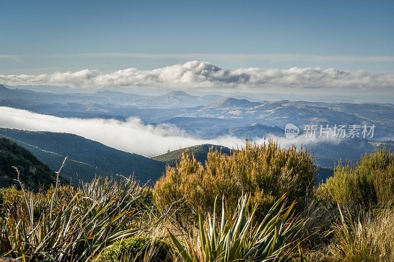 新西兰达尼丁的怀塔提山景
