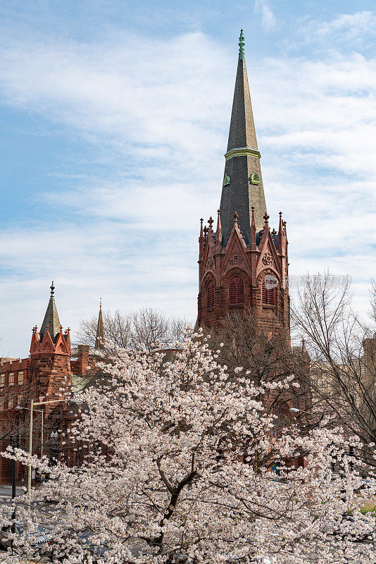 在国家樱花节期间，美国华盛顿特区的月亮门花园和史密森尼城堡的花