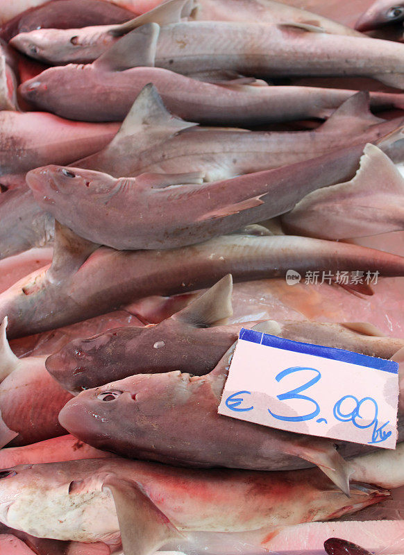 卡塔尼亚鱼市的小鲨鱼