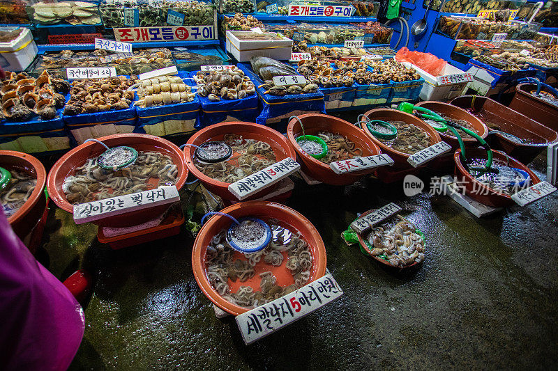 首尔市场的洗脸盆里漂浮着新鲜的海鲜