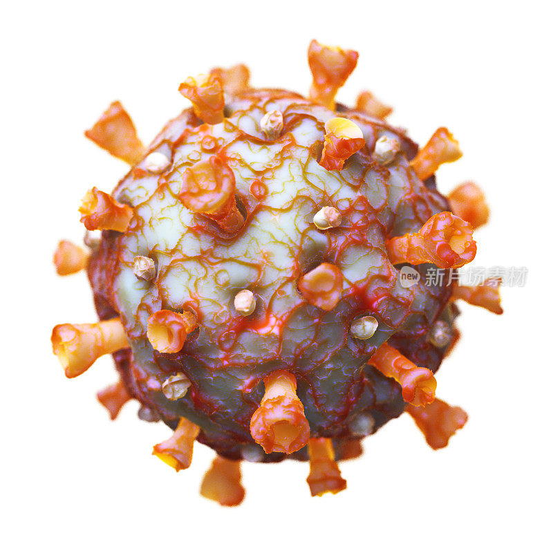 细胞分离冠状病毒