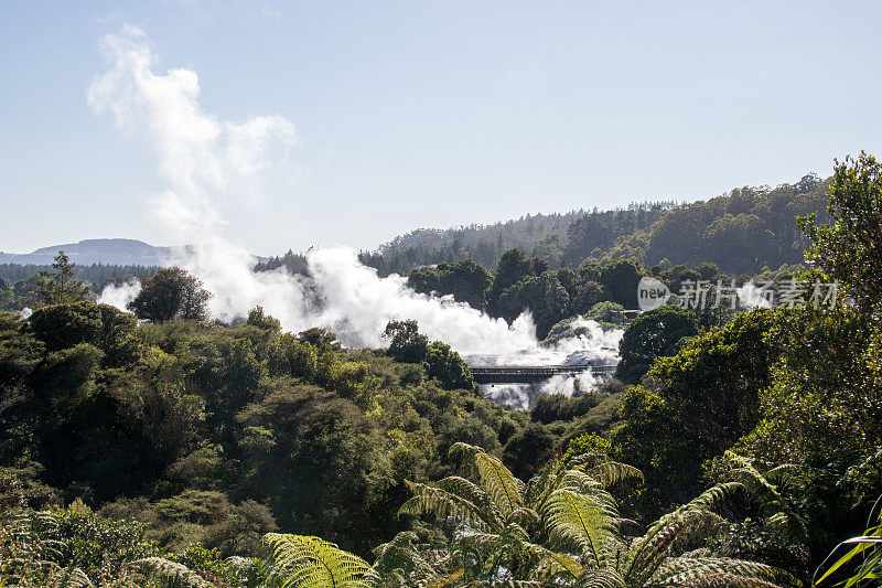 新西兰:地热蒸汽