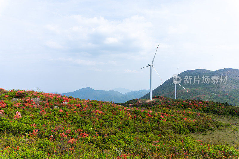 中国，落日之风。