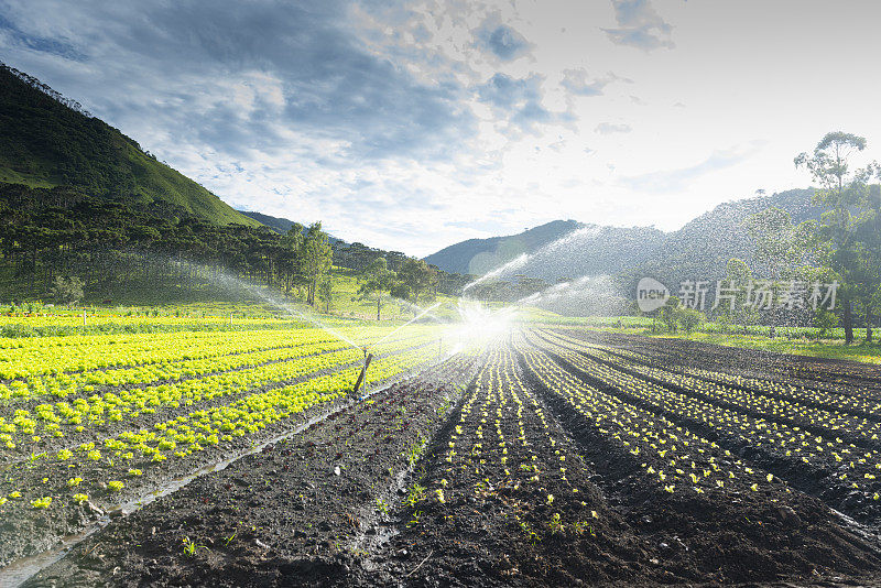 农田及灌溉