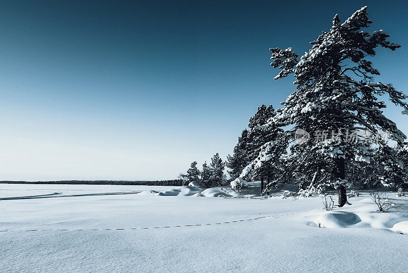 芬兰拉普兰冬季的冰冻湖