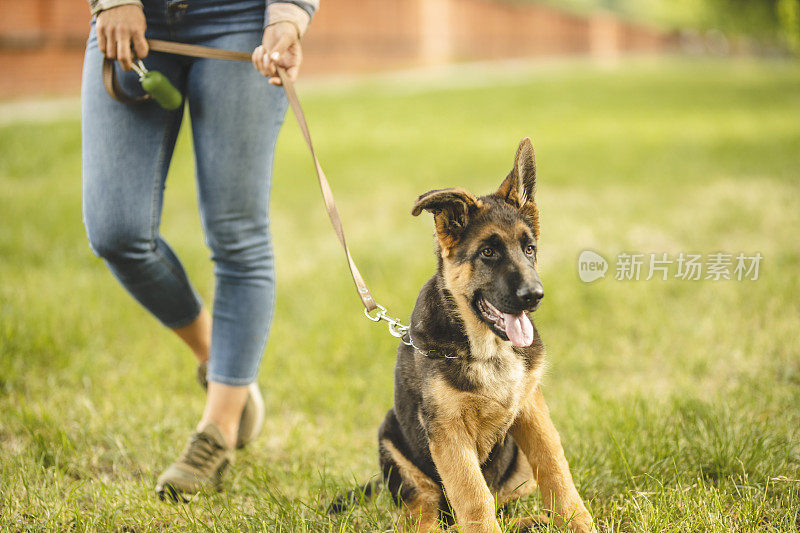 一个年轻女子和她的德国牧羊犬在公园散步