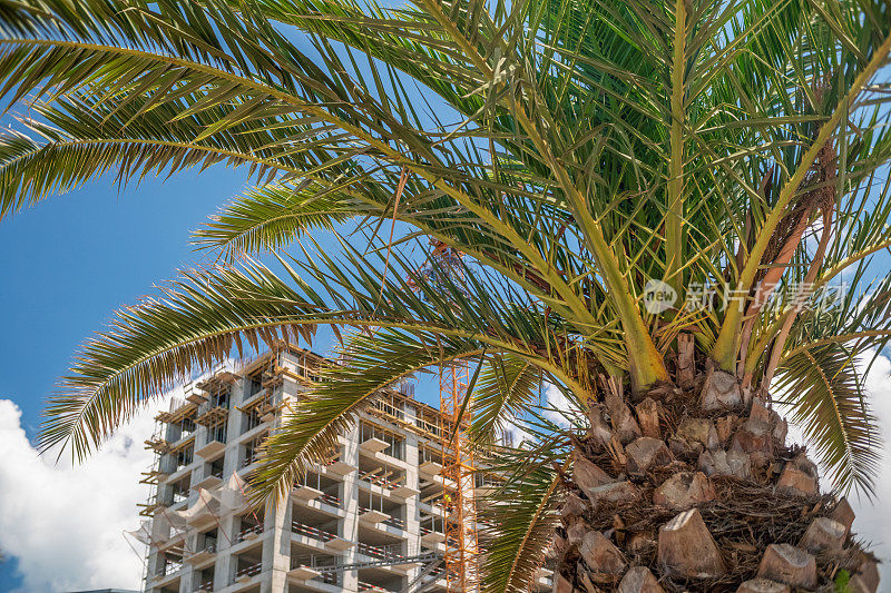 在巴统建造多层建筑。建筑起重机的背景是建筑物，棕榈树。映衬着蓝天的楼层建筑。