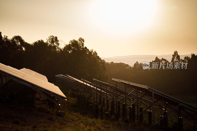 日落时分太阳能农场上的太阳能电池板