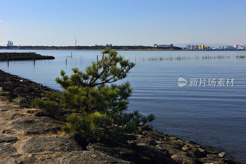 从东京湾地区在东京城市天际线对晴朗的天空