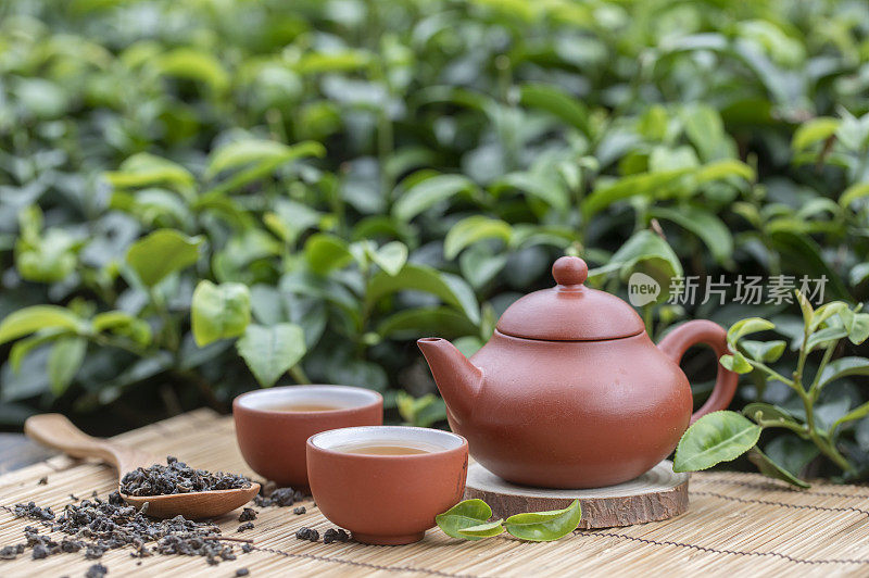 在茶园旁品茗着中国茶壶和茶杯富有禅意