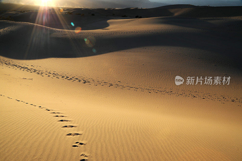 死亡谷的沙丘