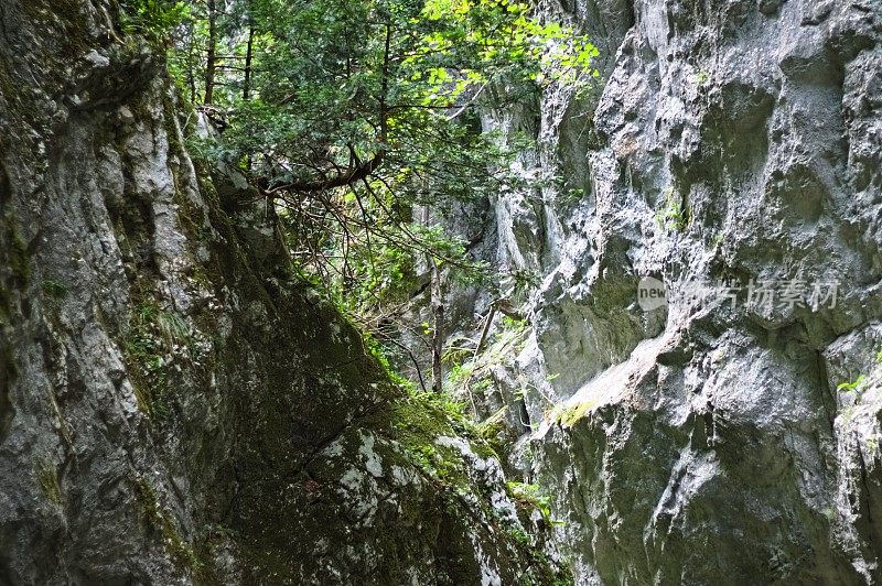 “地狱峡谷”，一个雕刻在岩石上的意大利峡谷(马尔凯，意大利，欧洲)