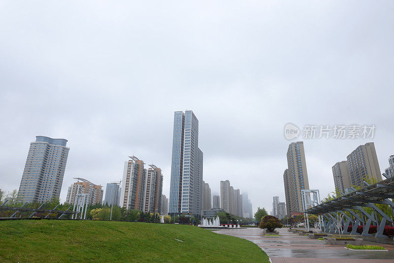 中国山东省日照市，花儿在春雨中绽放