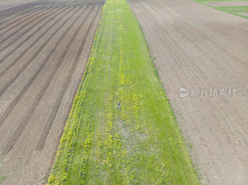 初春时节，戴着牛仔帽的农民在农田里劳作